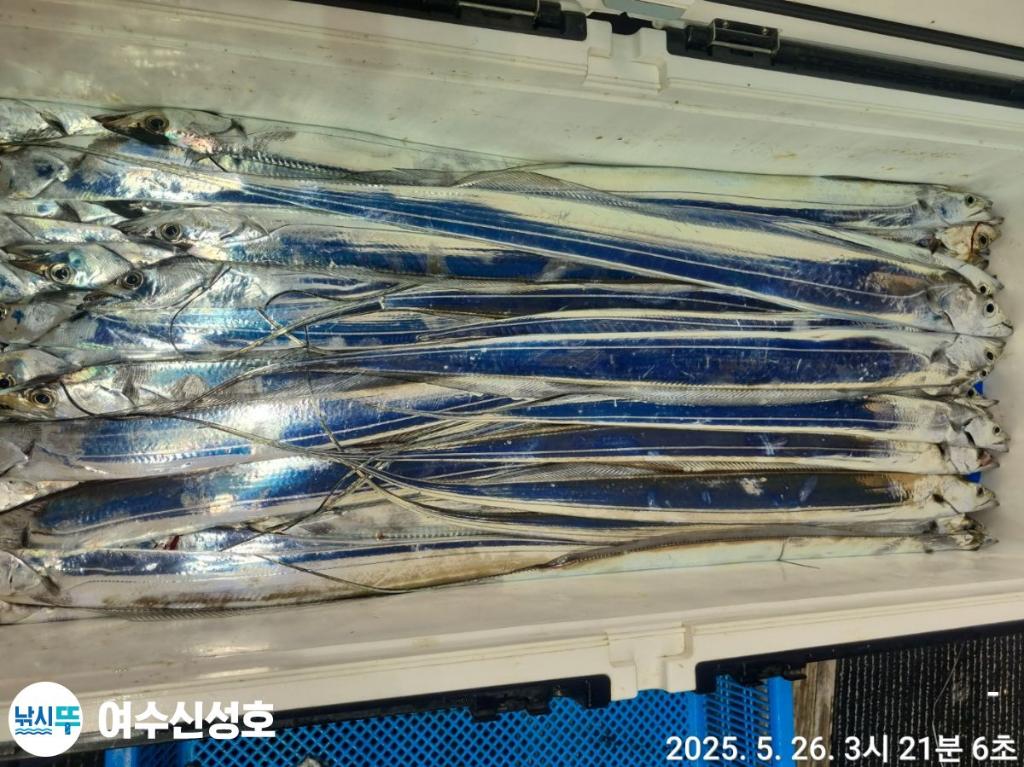 F2682867WL.jpg