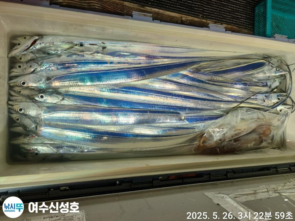 F268286919.jpg