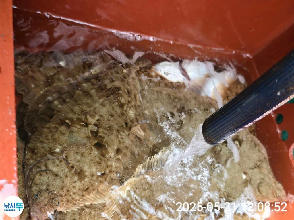 F268300461.jpg