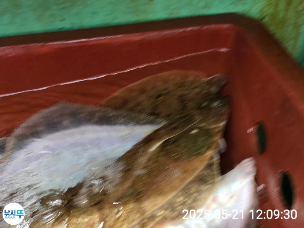 F2683007FG.jpg