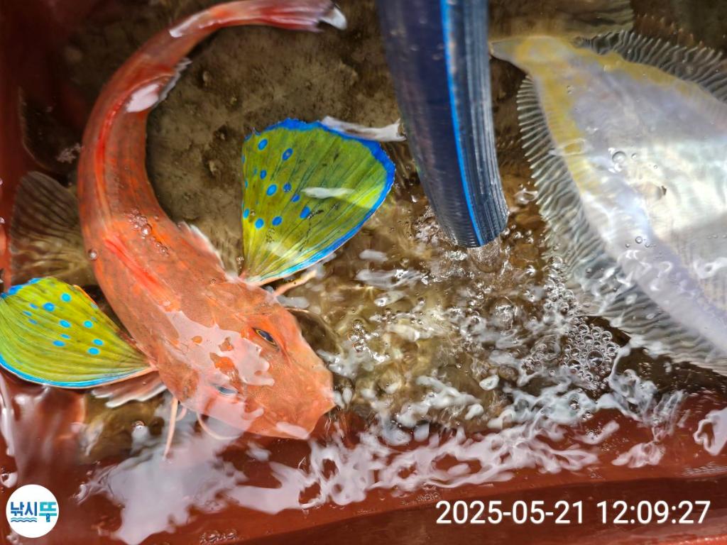 F2683008G2.jpg