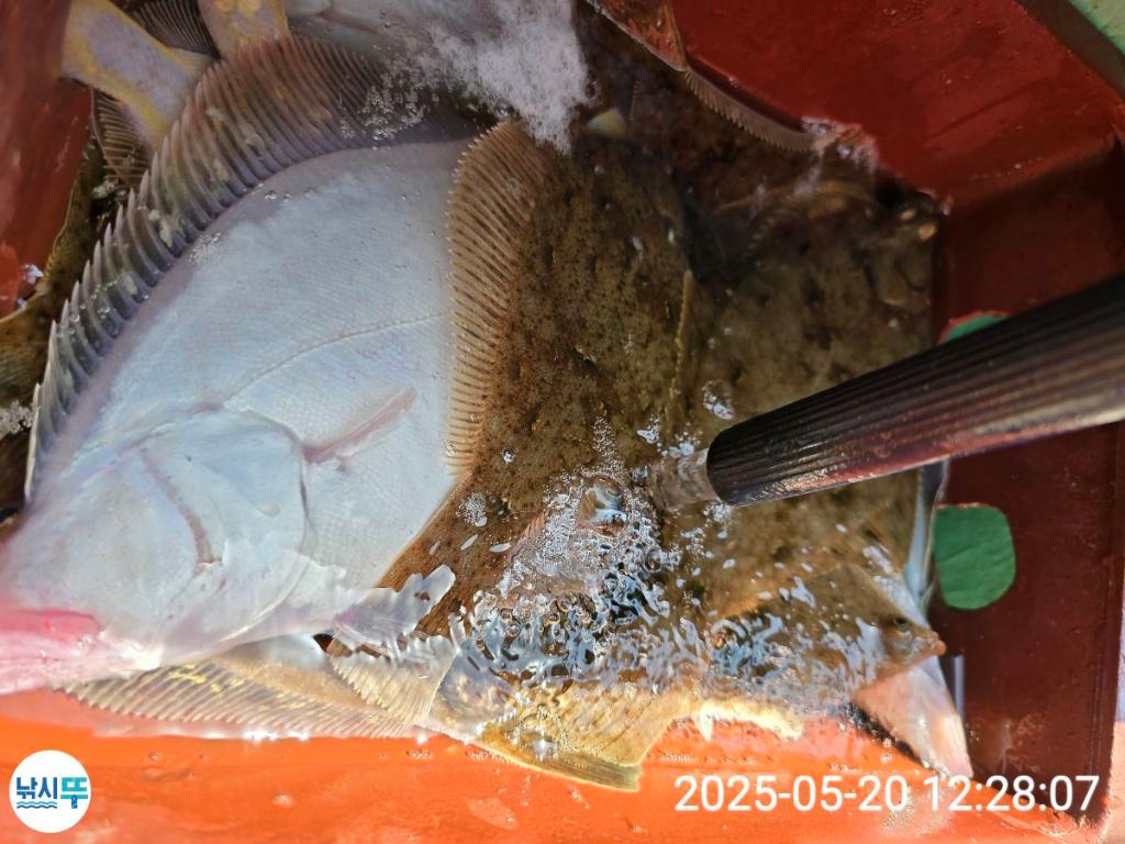 F2683015HI.jpg