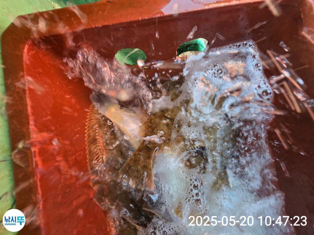 F2683033LH.jpg