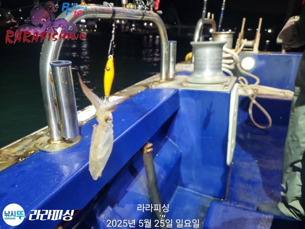 F2683081UU.jpg