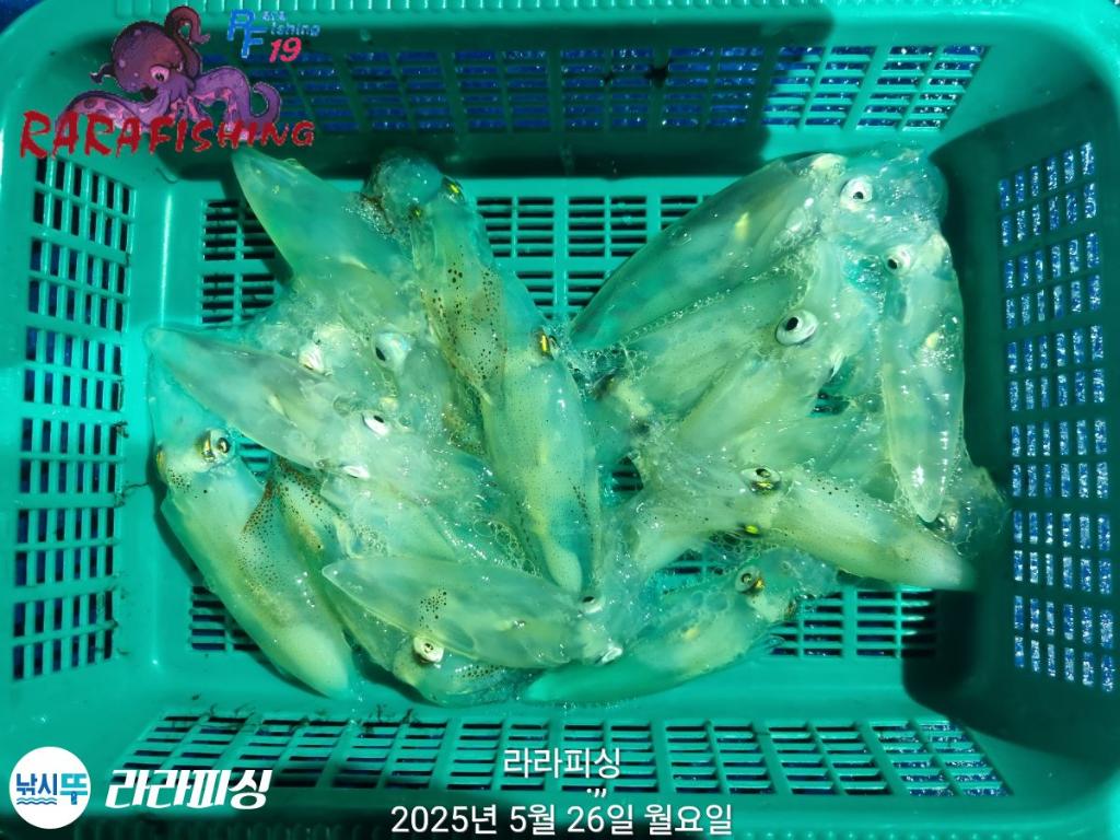 F26830957U.jpg