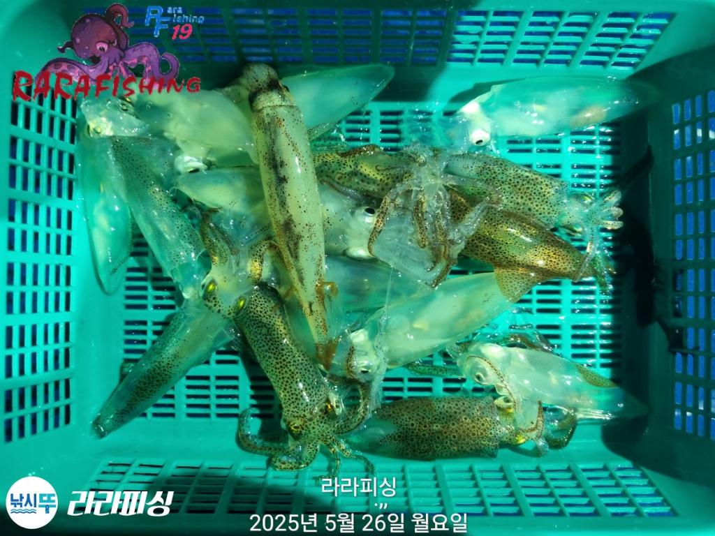 F2683097IE.jpg