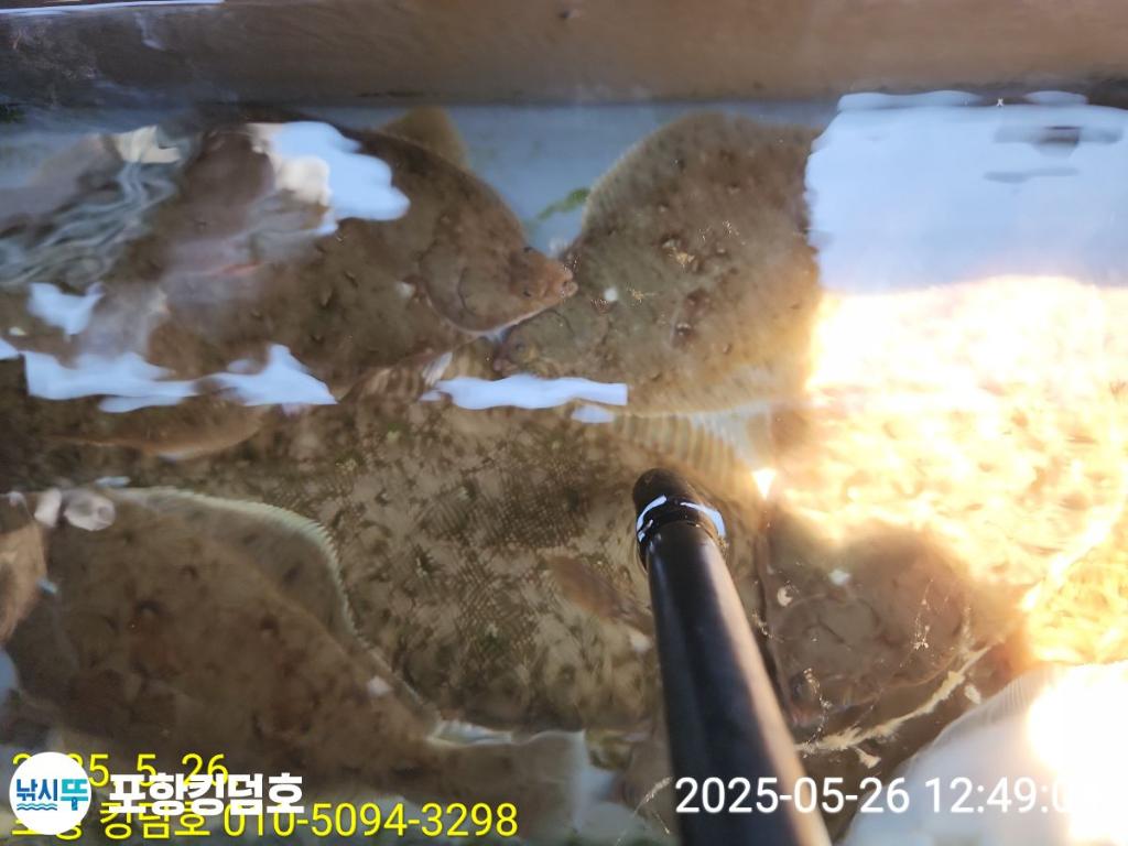 F2683104P5.jpg