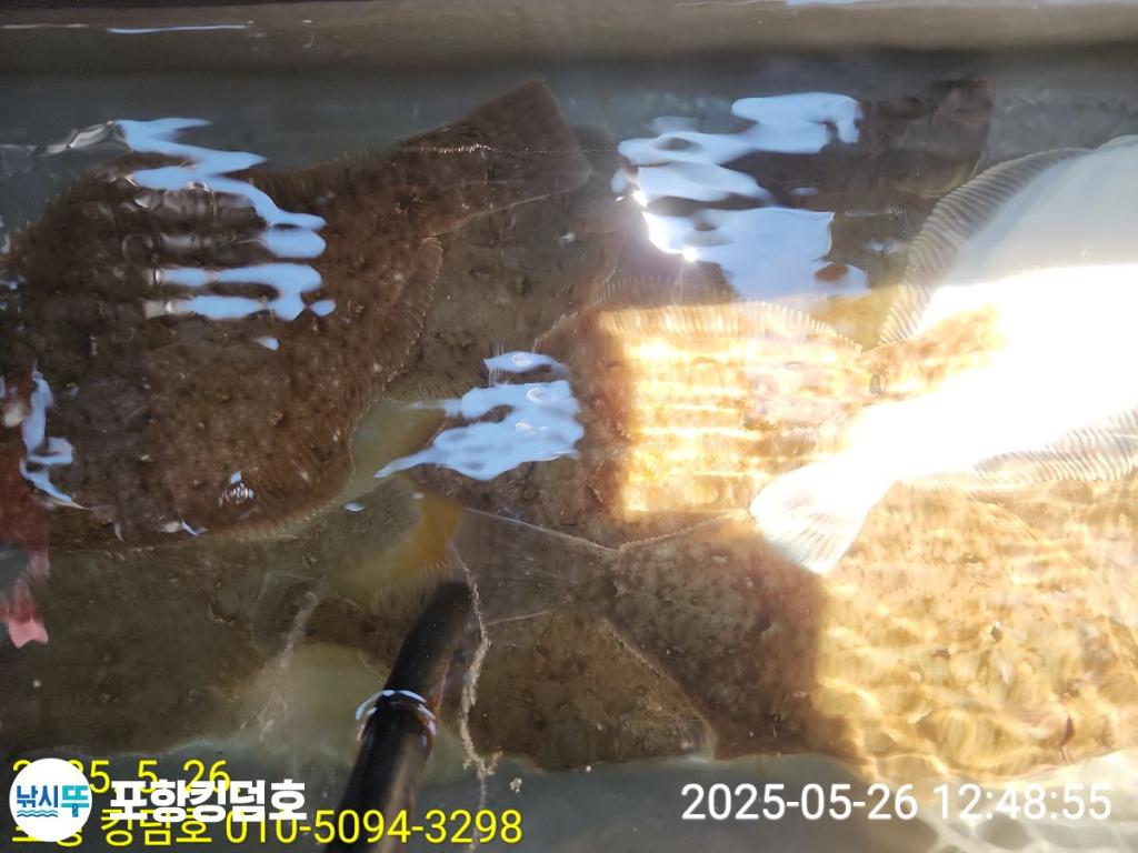 F2683105QO.jpg