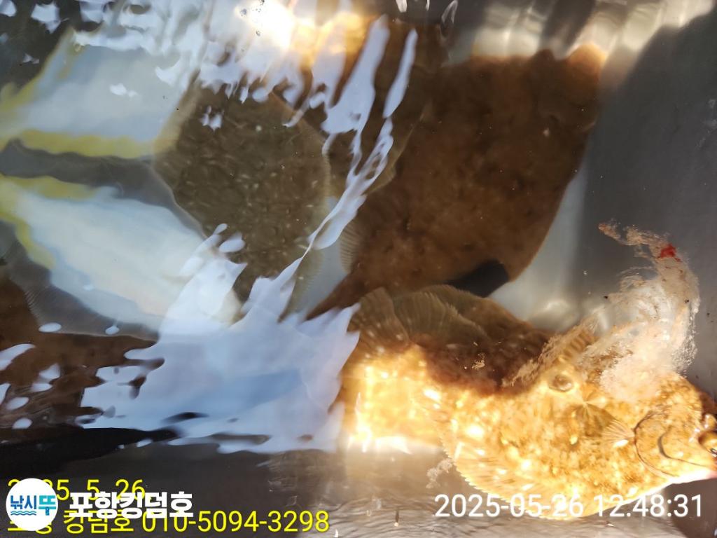 F2683108BU.jpg