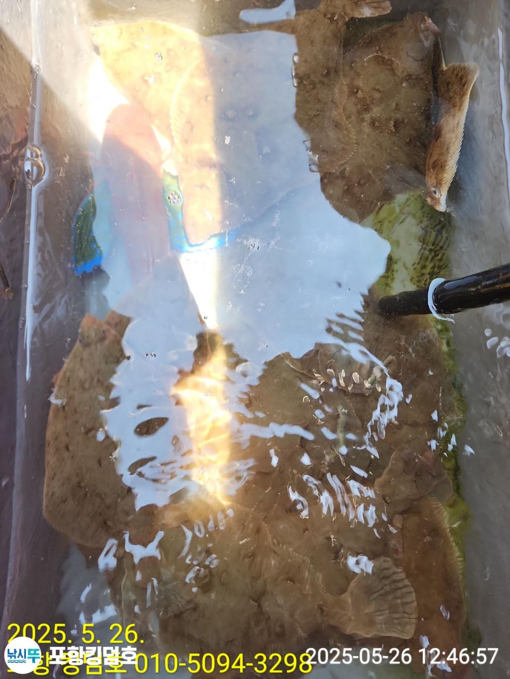 F2683114R1.jpg