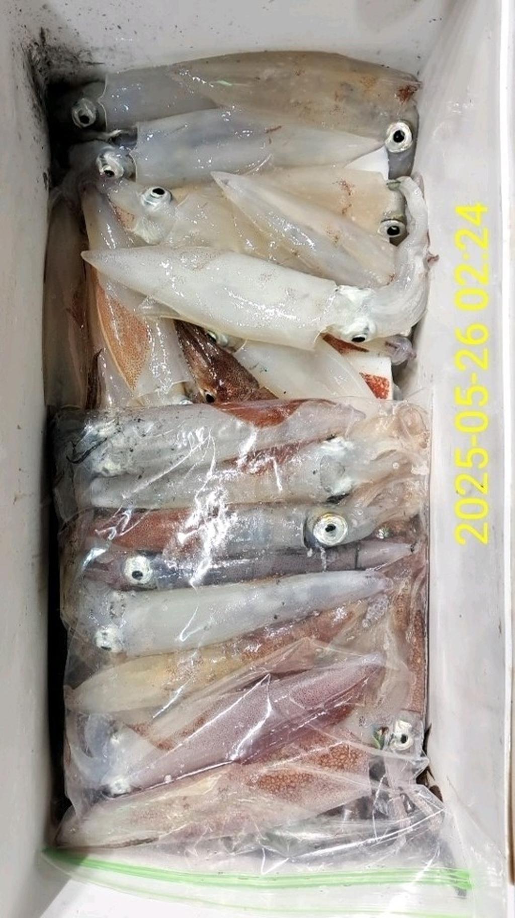 기타 (직접입력), 삼포대교낚시, 낚시뚜