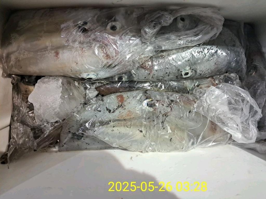 기타 (직접입력), 삼포대교낚시, 낚시뚜