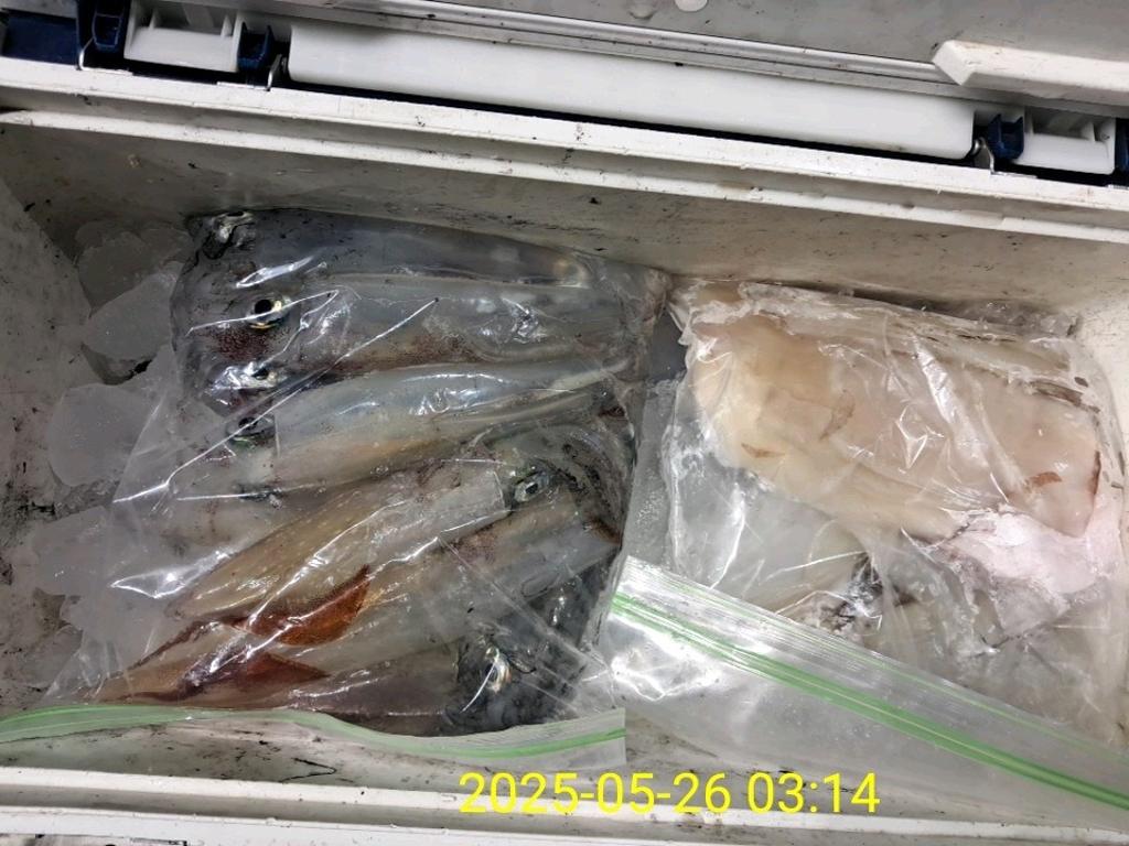 기타 (직접입력), 삼포대교낚시, 낚시뚜