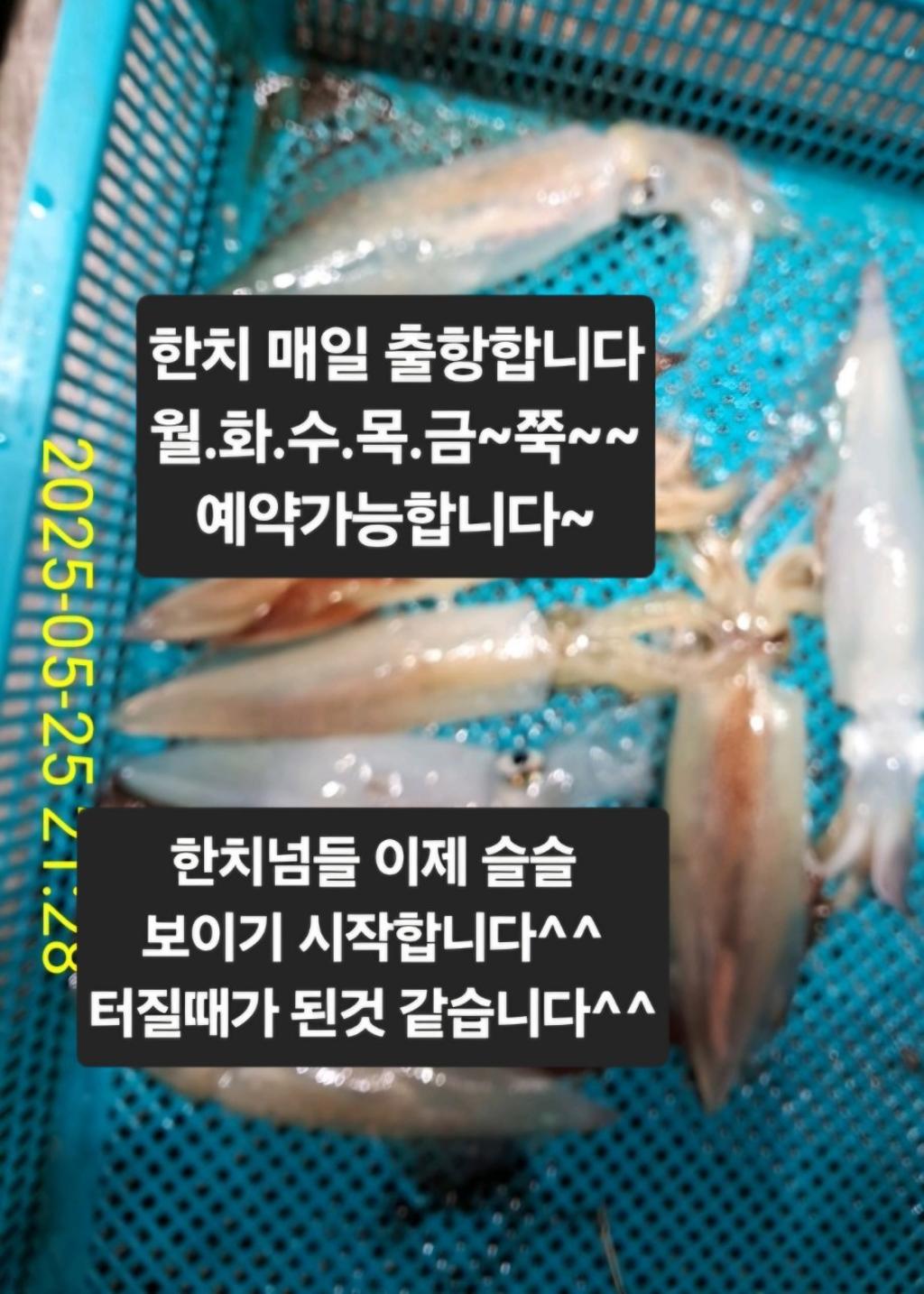 기타 (직접입력), 삼포대교낚시, 낚시뚜