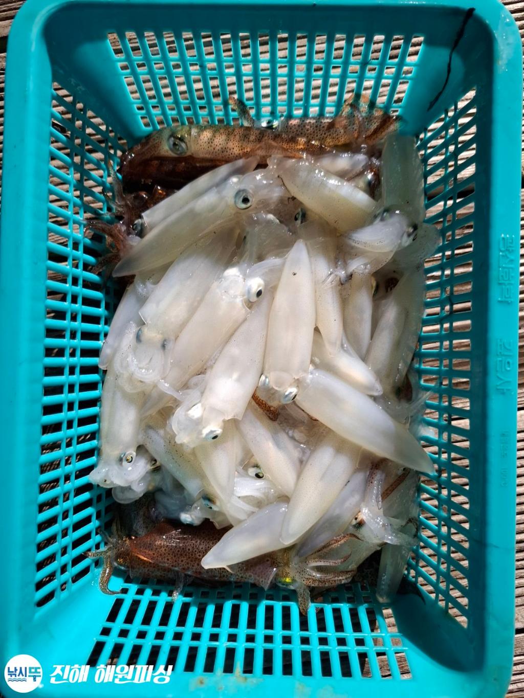 F2683227LL.jpg