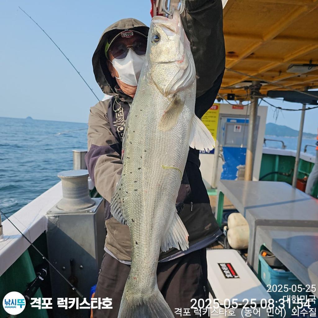 F2683248U9.jpg