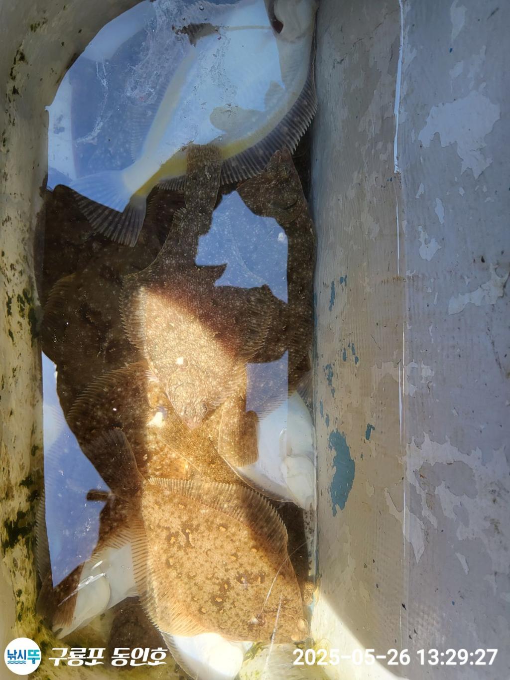 F2683300D5.jpg