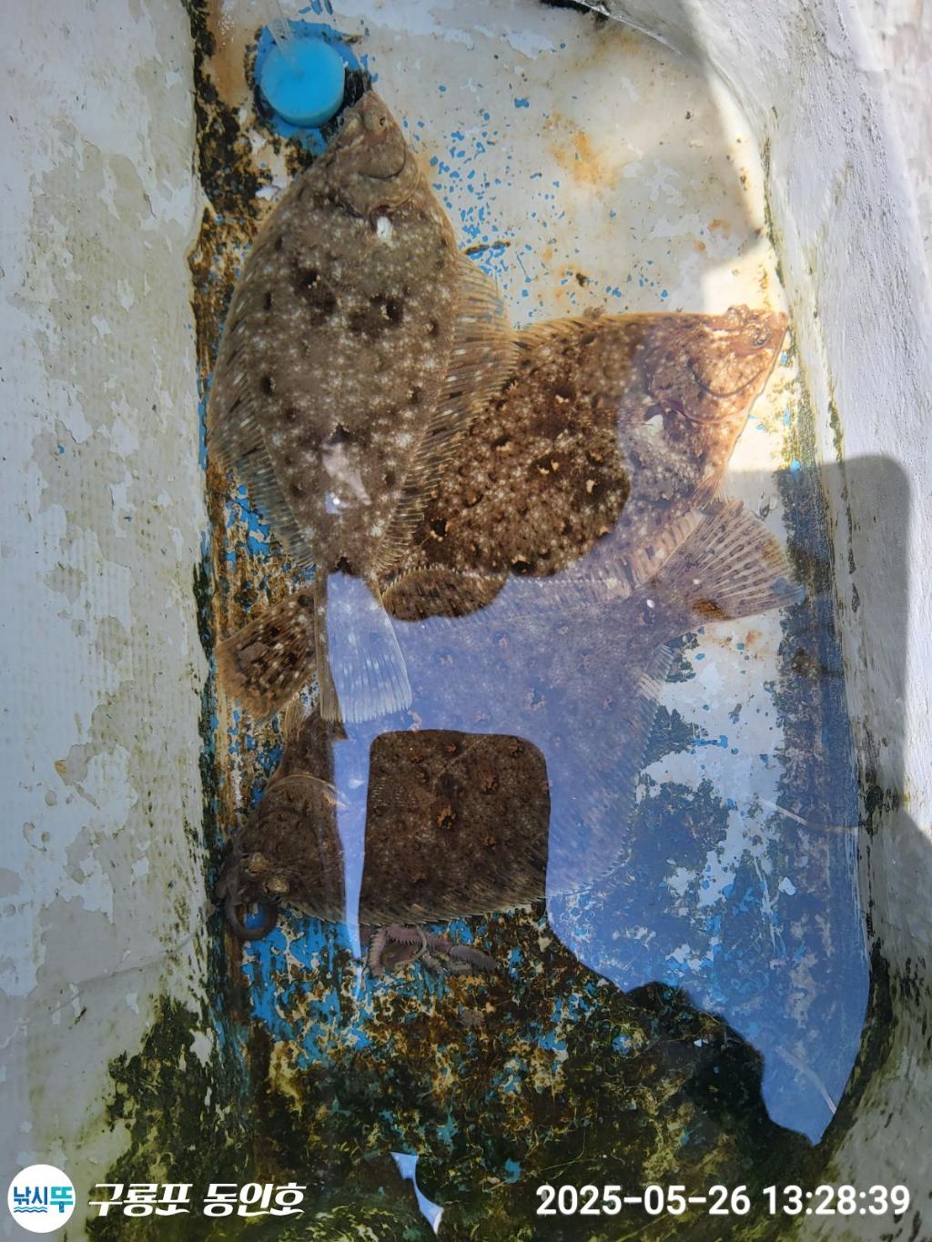 F26833089D.jpg
