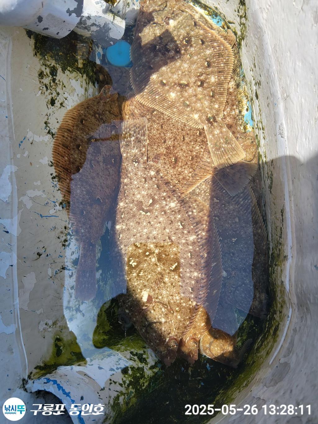 F268330982.jpg