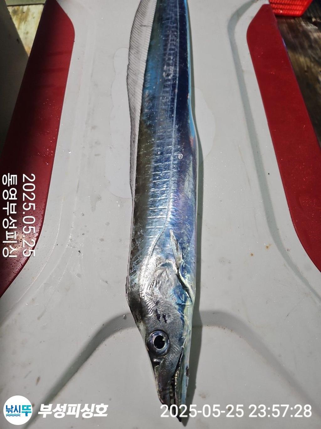 F2682565TM.jpg
