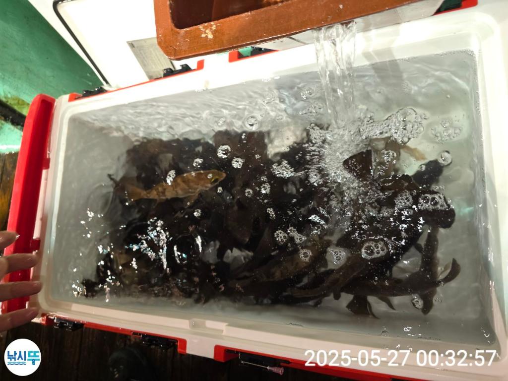 F2683393JV.jpg