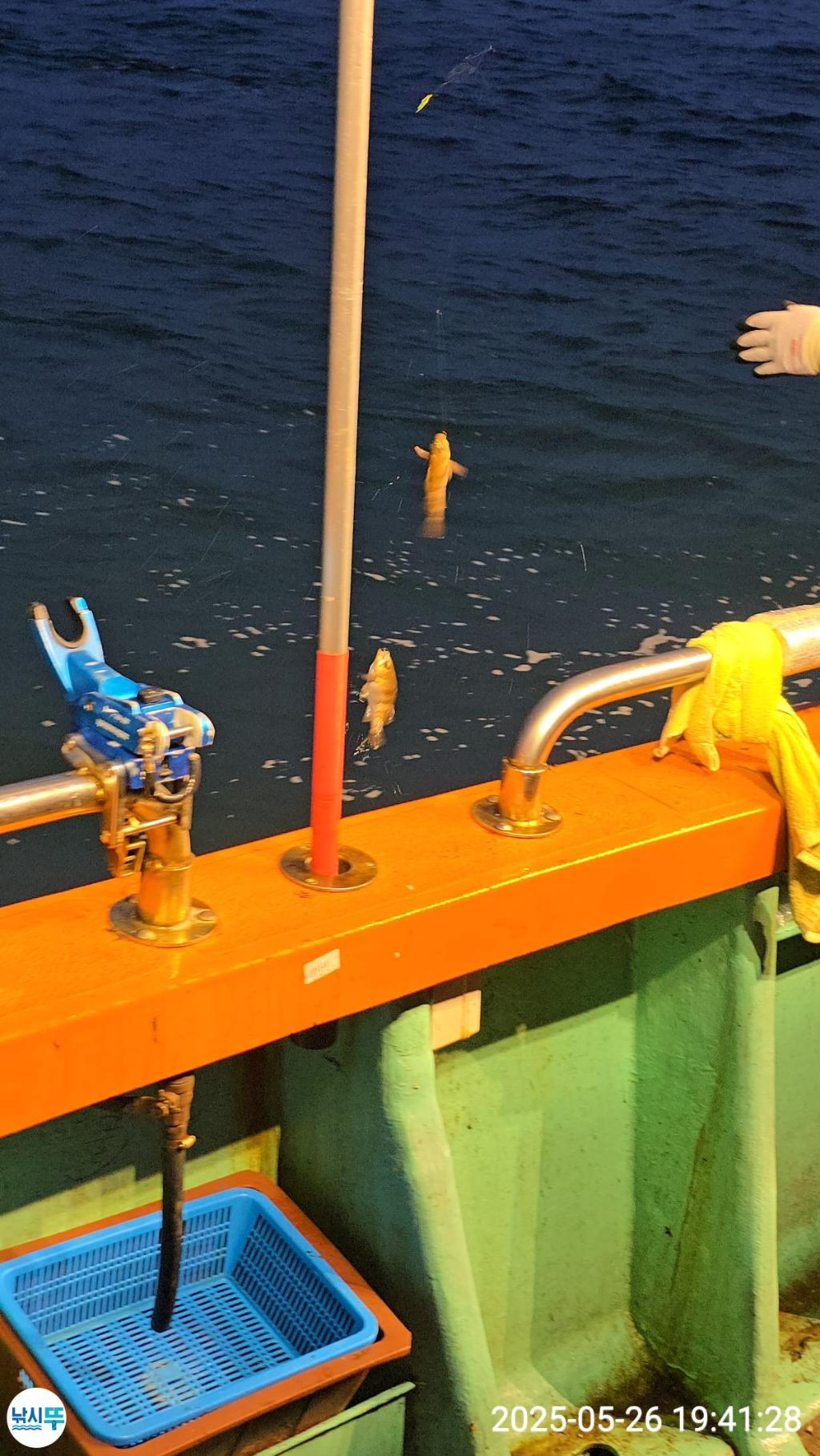 F2683400NN.jpg