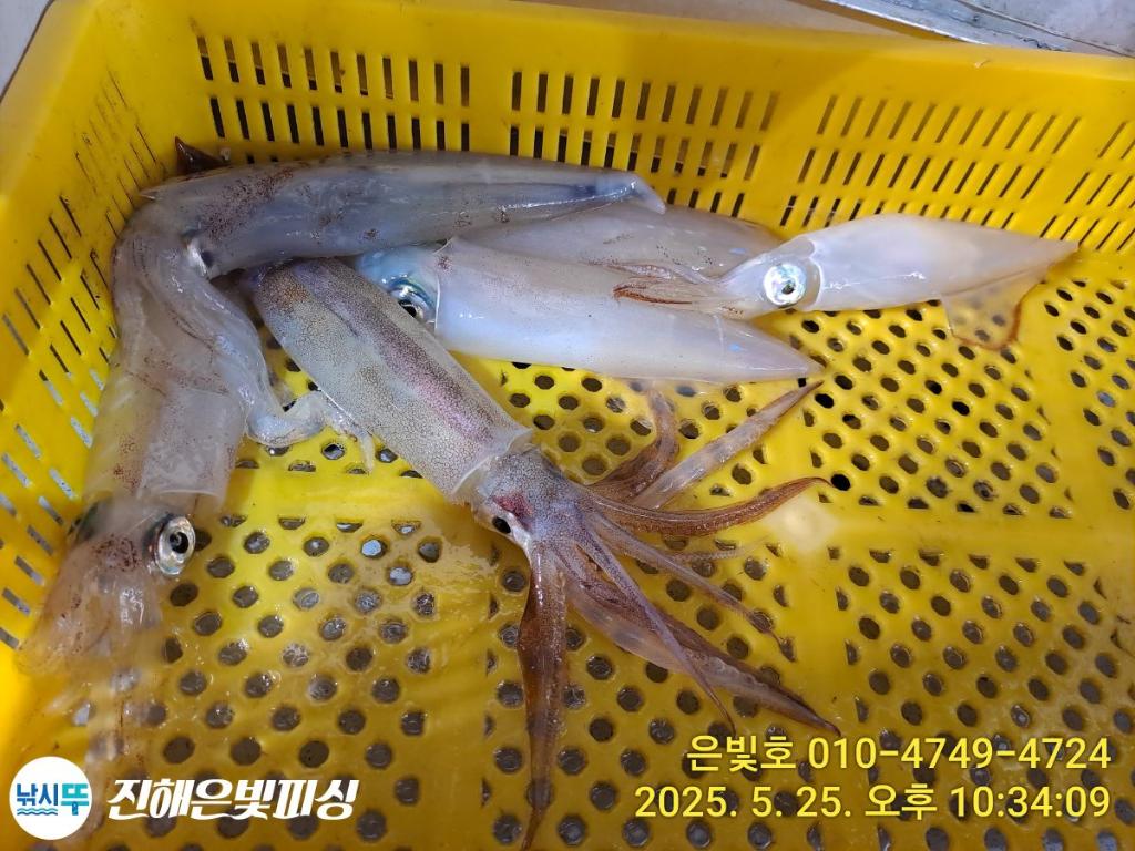 F2683441DP.jpg