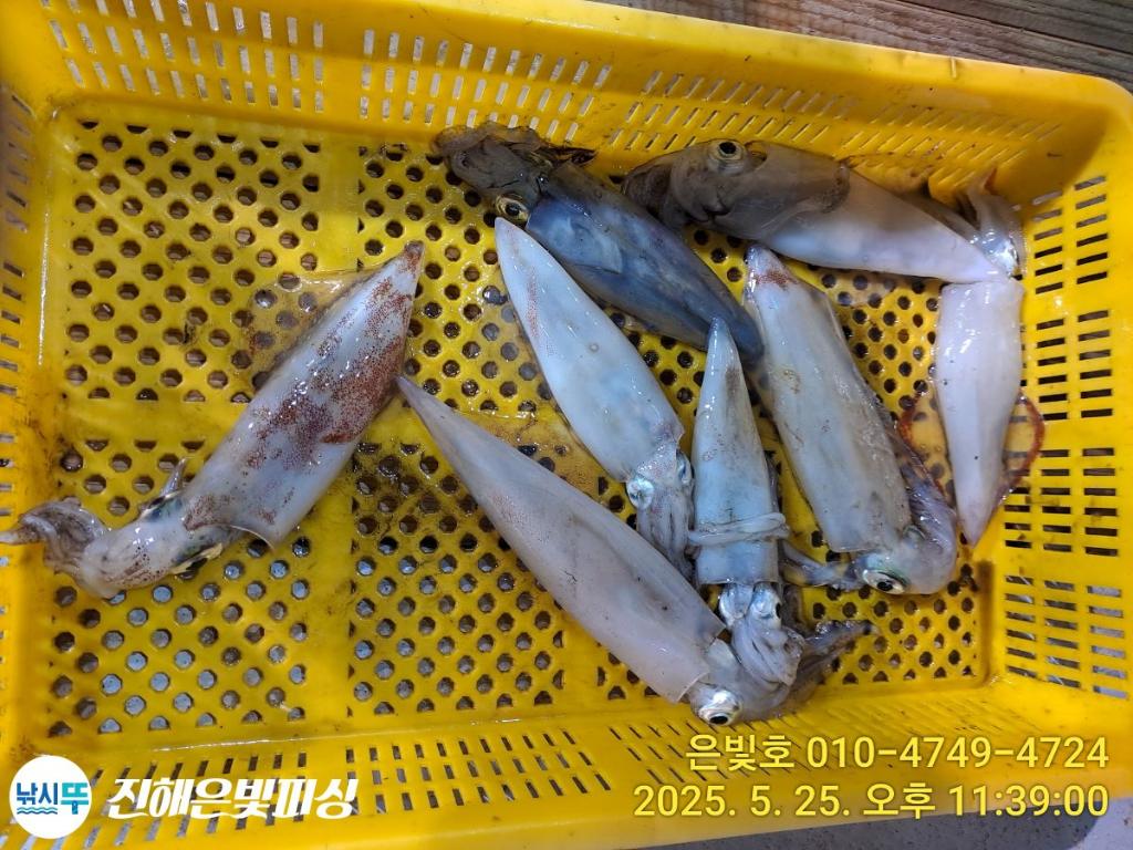 F2683444DA.jpg