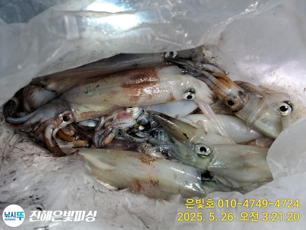 F26834545T.jpg