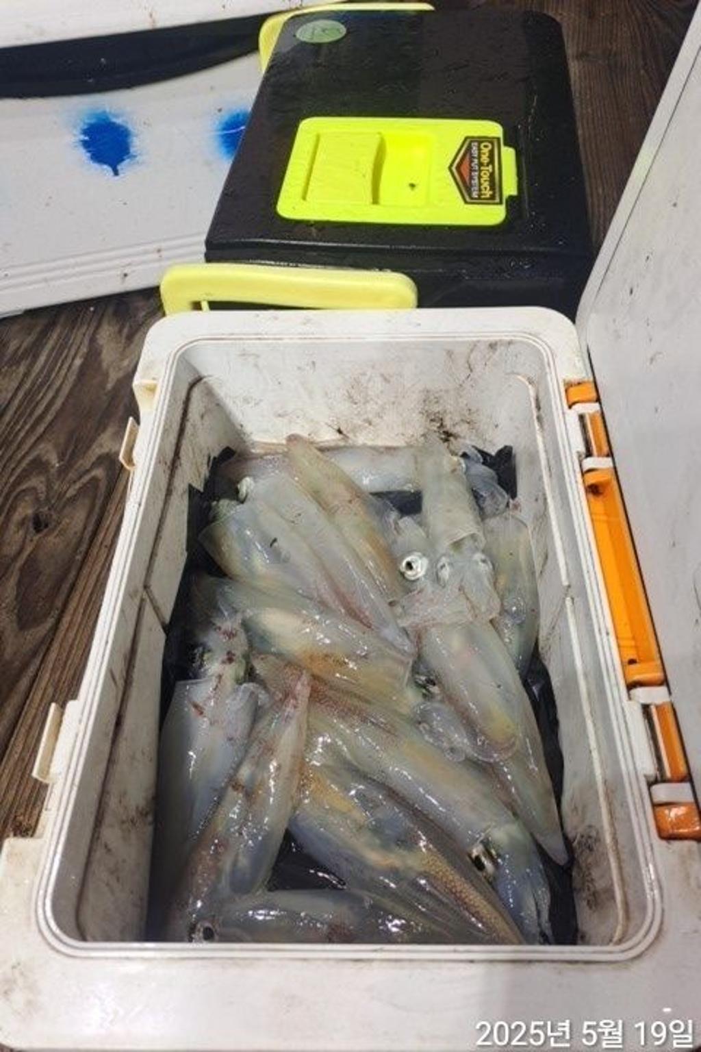F2683540OZ.jpg