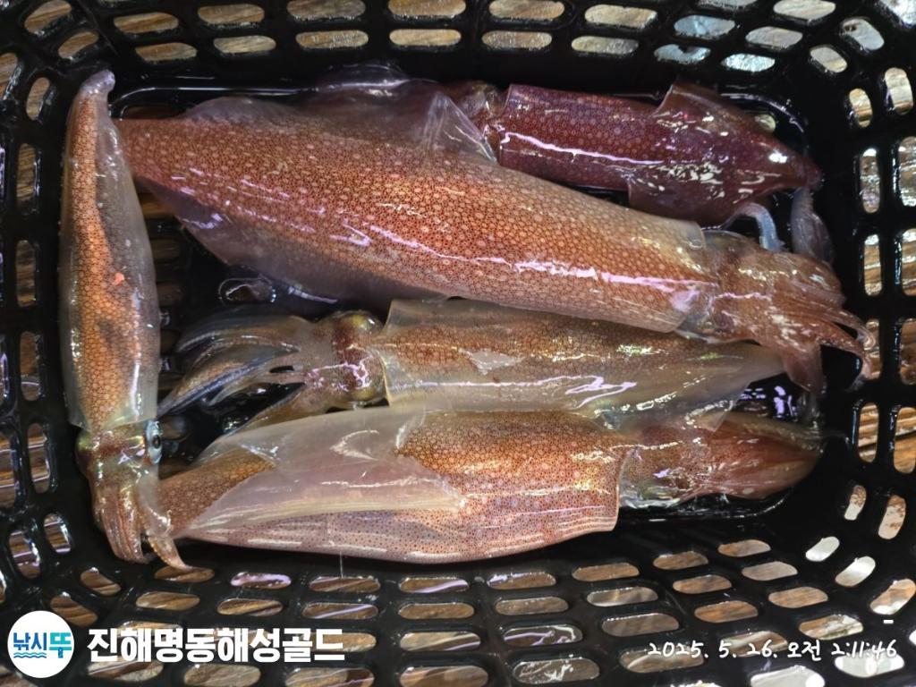 F26835541P.jpg
