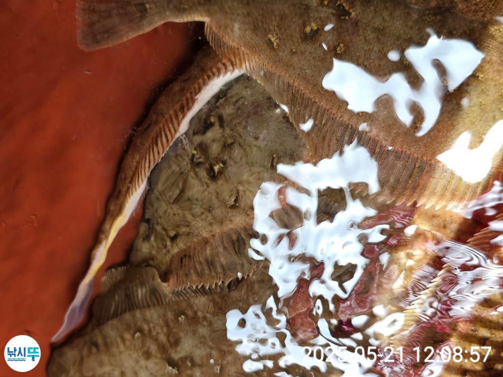 F2683569QK.jpg