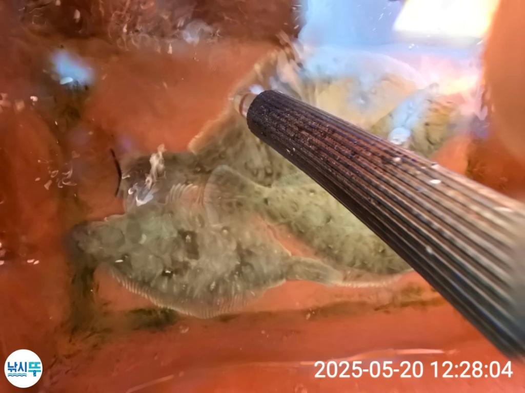 F268358262.jpg