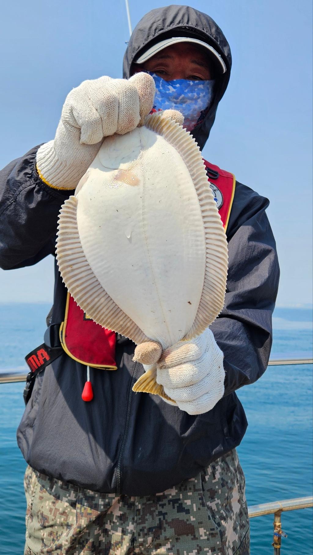 F2683982WS.jpg