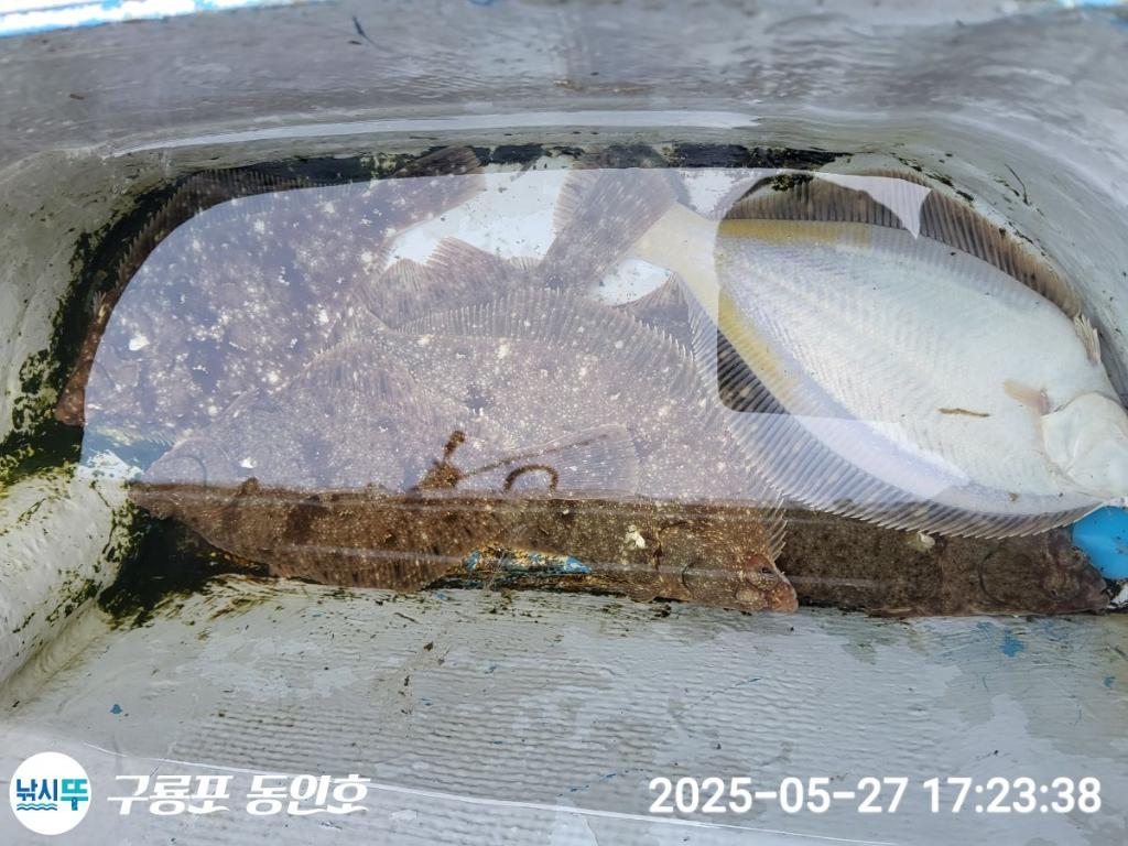 F26842628O.jpg