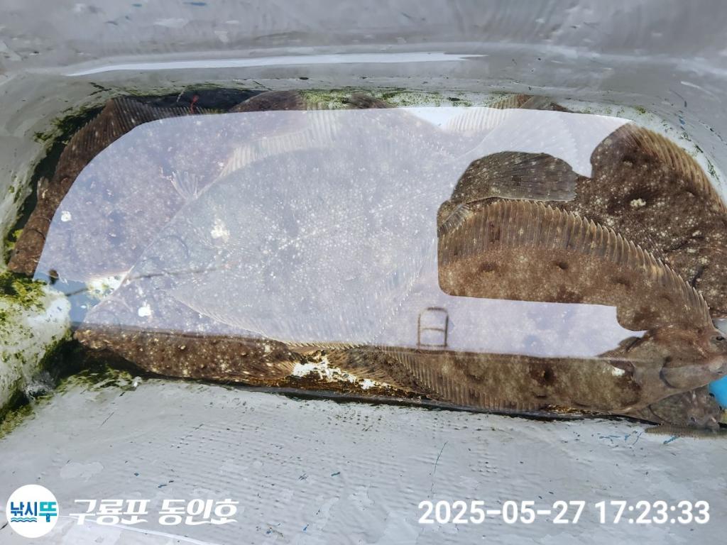 F2684263YP.jpg