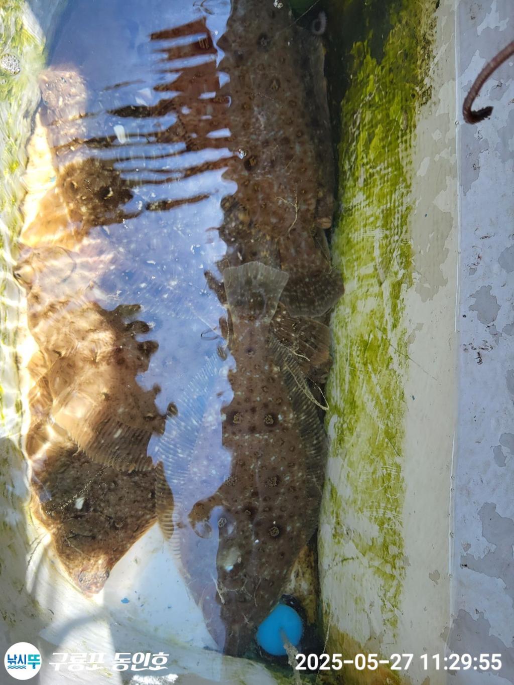 F2684272NB.jpg