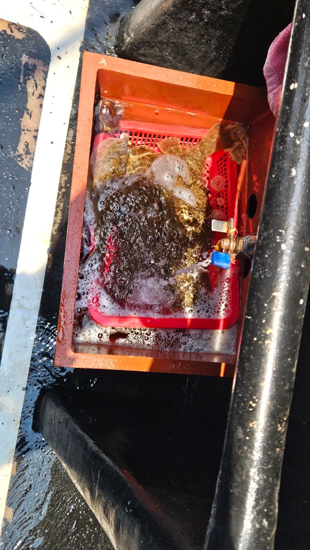 F2684670BF.jpg