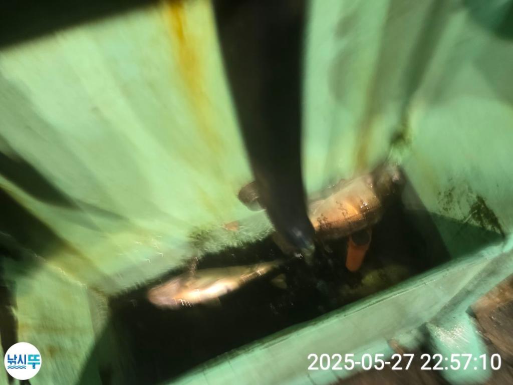 F2684696V9.jpg