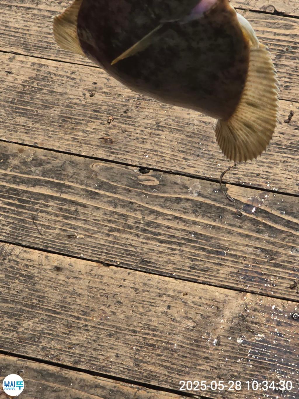 F2684703UF.jpg