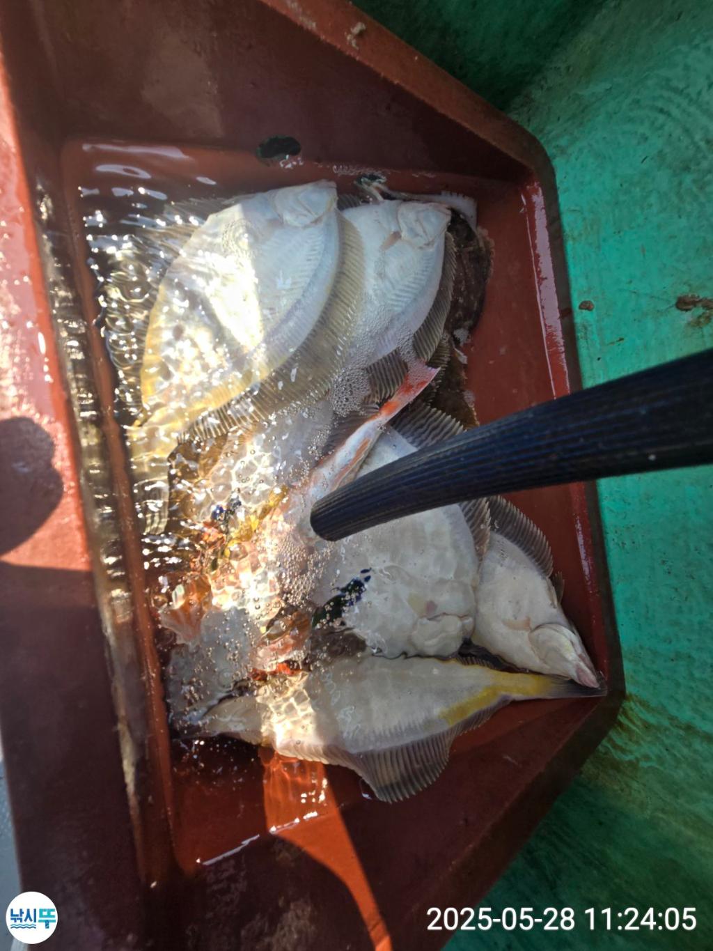 F2684708H1.jpg