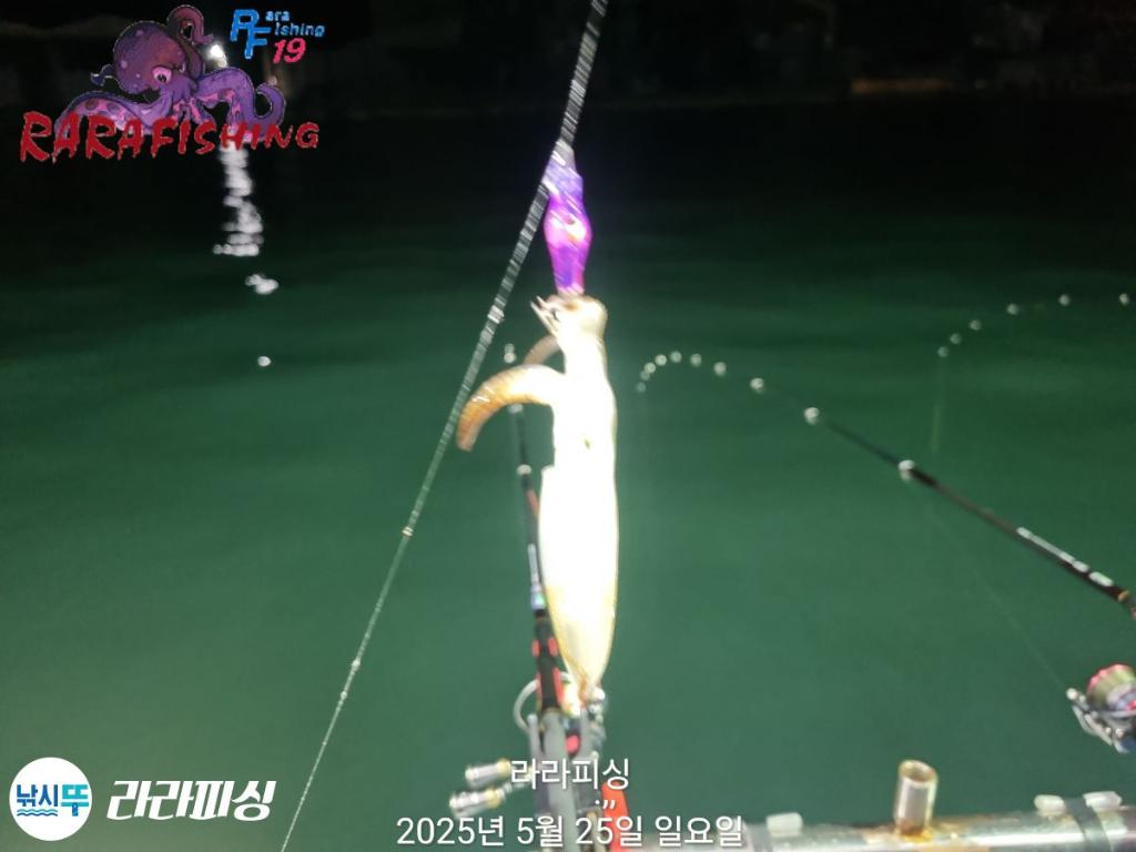 F2684815GS.jpg