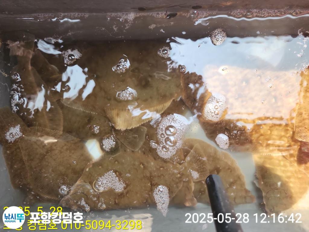 F2684880EW.jpg