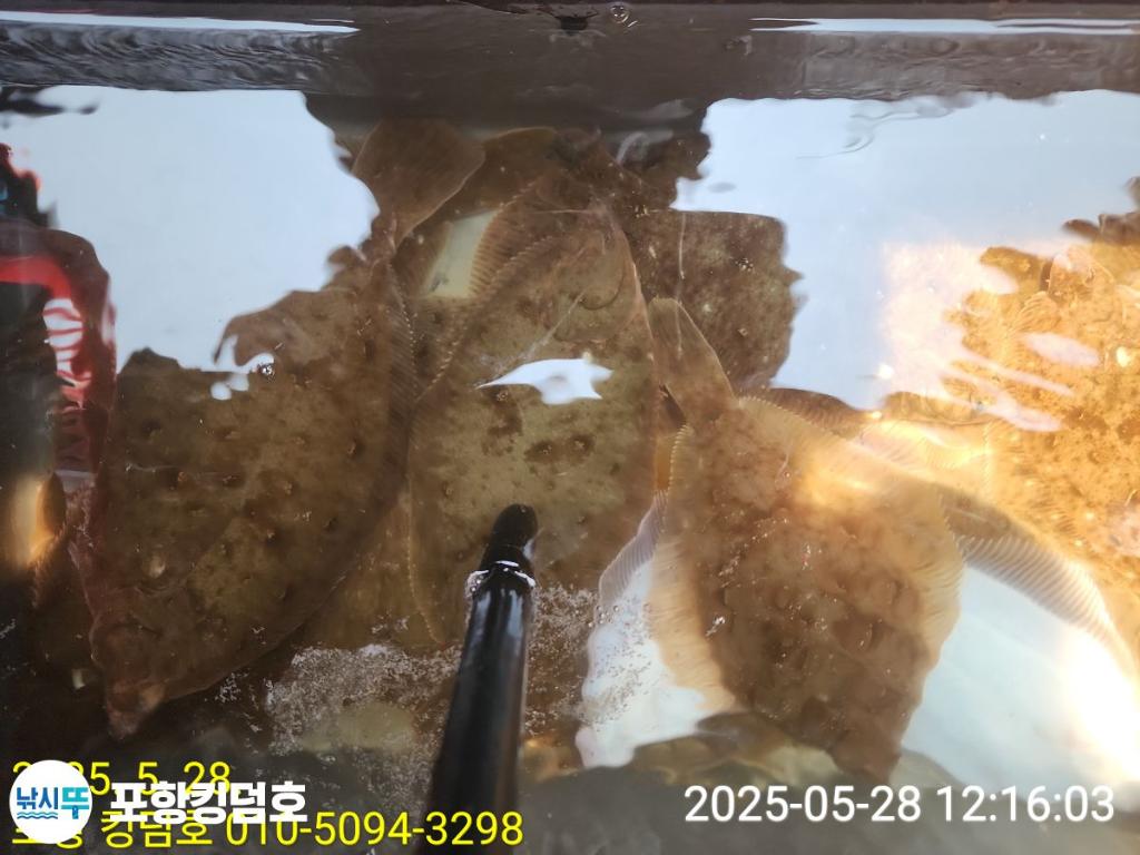 F2684881OZ.jpg