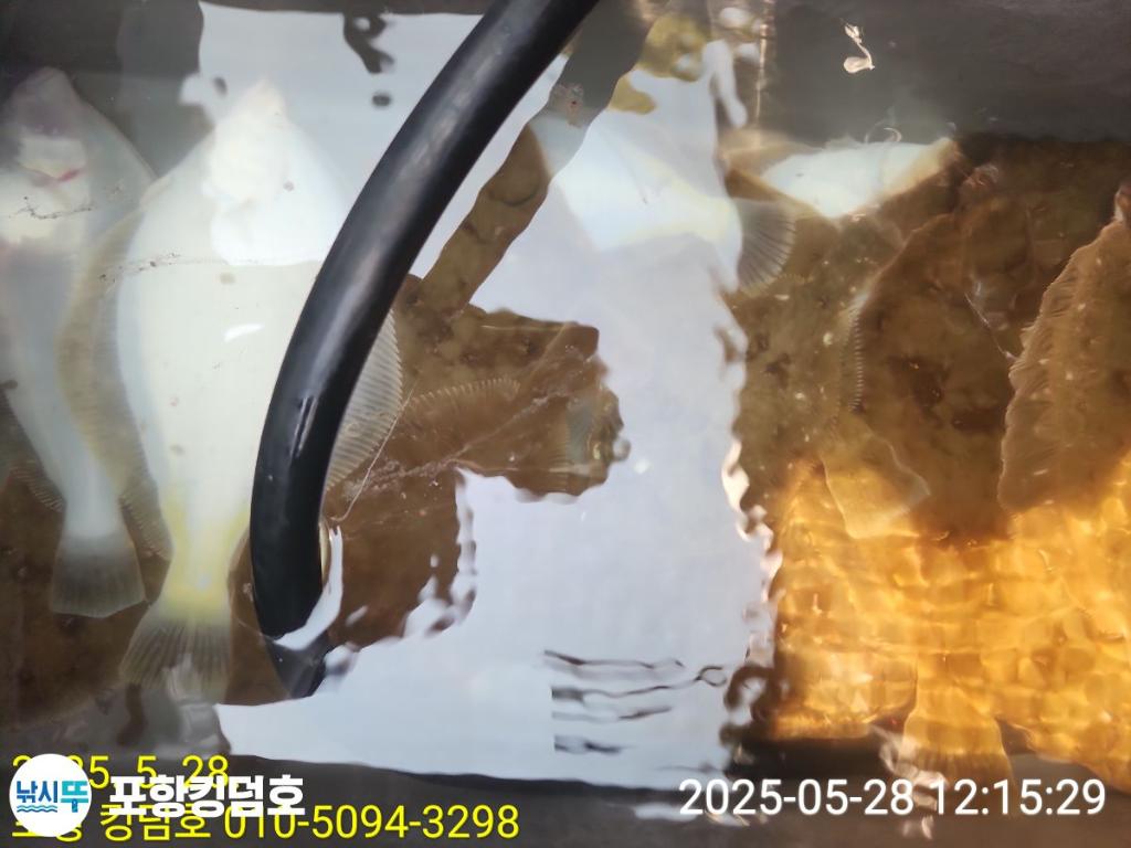 F26848825A.jpg