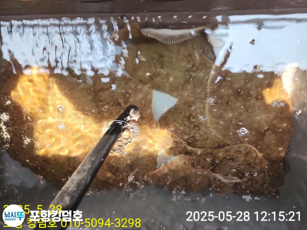 F2684883OJ.jpg