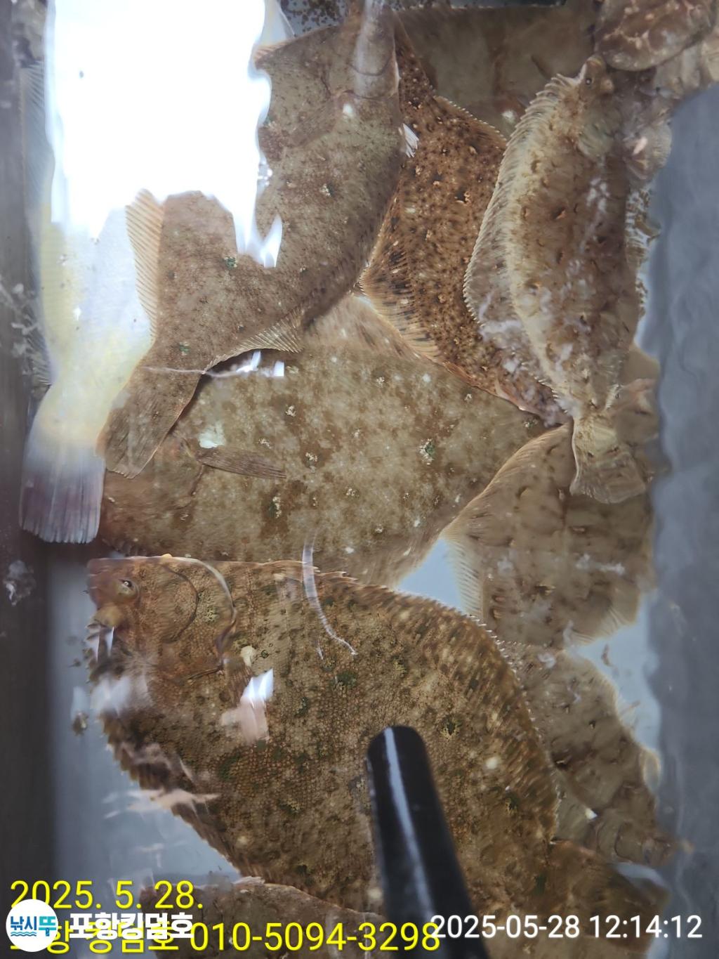 F268488789.jpg