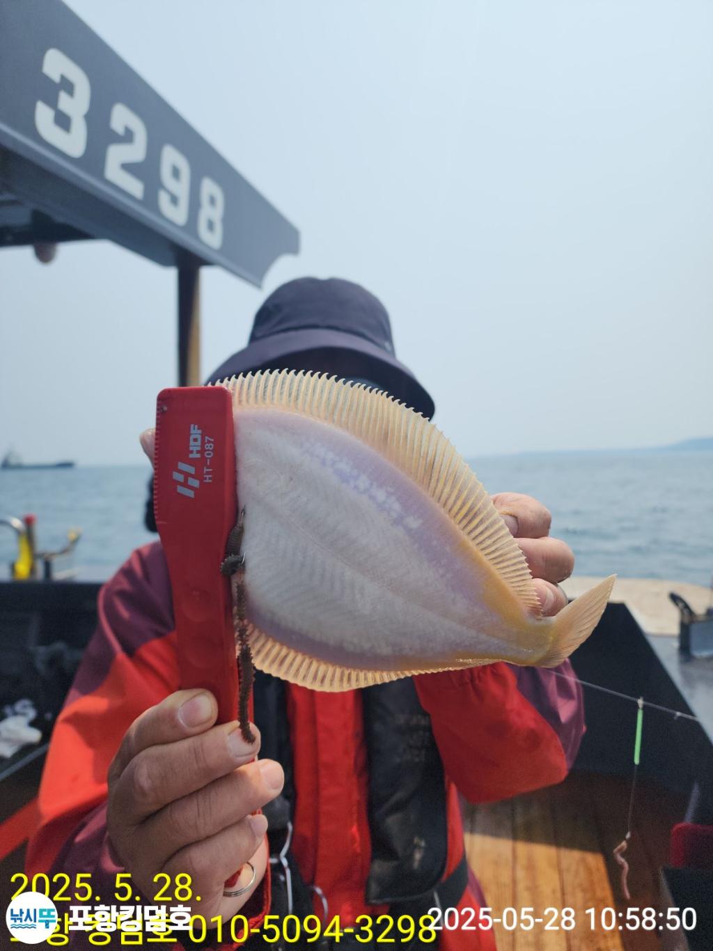 F2684894P3.jpg