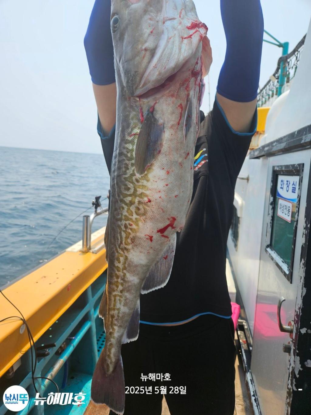 F2684943IP.jpg