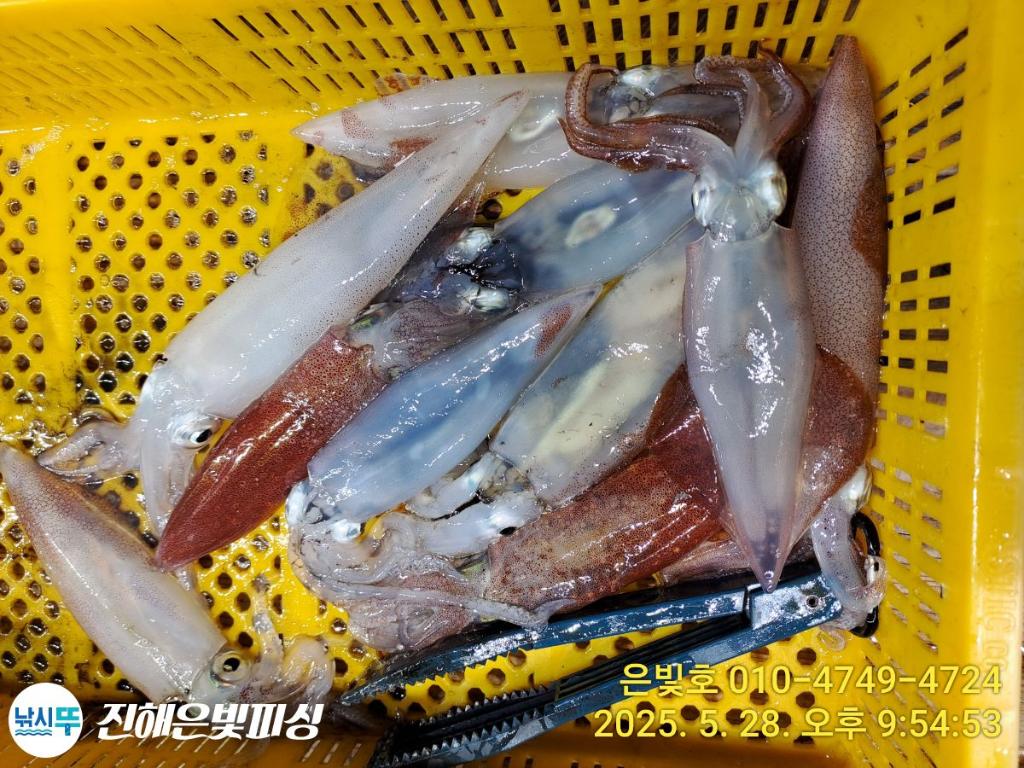 F2685180WL.jpg